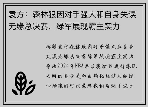 袁方：森林狼因对手强大和自身失误无缘总决赛，绿军展现霸主实力