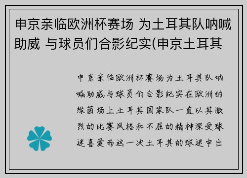 申京亲临欧洲杯赛场 为土耳其队呐喊助威 与球员们合影纪实(申京土耳其联赛数据)