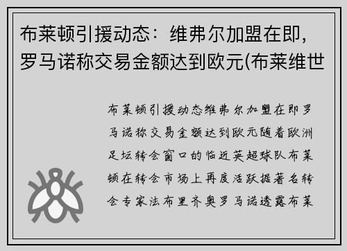 布莱顿引援动态：维弗尔加盟在即，罗马诺称交易金额达到欧元(布莱维世)